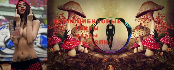гидра Алексеевка