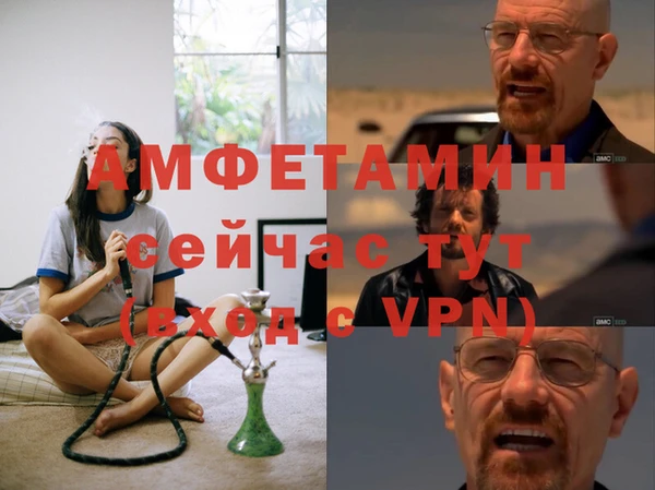 гидра Алексеевка