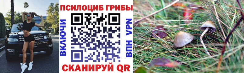 Псилоцибиновые грибы ЛСД  Реж 